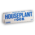 HOUSEPLANT BY OCB 1 1/4 CLASSIS PAPER 50-PACK - DISPLAY OF 24