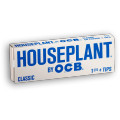 HOUSEPLANT BY OCB 1 1/4 + TIPS CLASSIS PAPER 50-PACK - DISPLAY OF 24