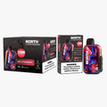 NORTH FT12000 REIMAGINED 12,000 PUFFS DISPOSABLE VAPE - DISPLAY OF 10