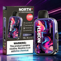 NORTH FT12000 REIMAGINED 12,000 PUFFS DISPOSABLE VAPE - DISPLAY OF 10