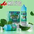 MR FOG E-LIQUID MINT STEEZY SERIES 60ML - DISPLAY OF 6