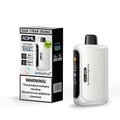 HORIZONTECH 100,000 PUFFS DISPOSABLE VAPE - DISPLAY OF 5