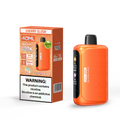 HORIZONTECH 100,000 PUFFS DISPOSABLE VAPE - DISPLAY OF 5