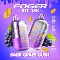 FOGER BIT 35,000 PUFFS DISPOSABLE VAPE - DISPLAY OF 5