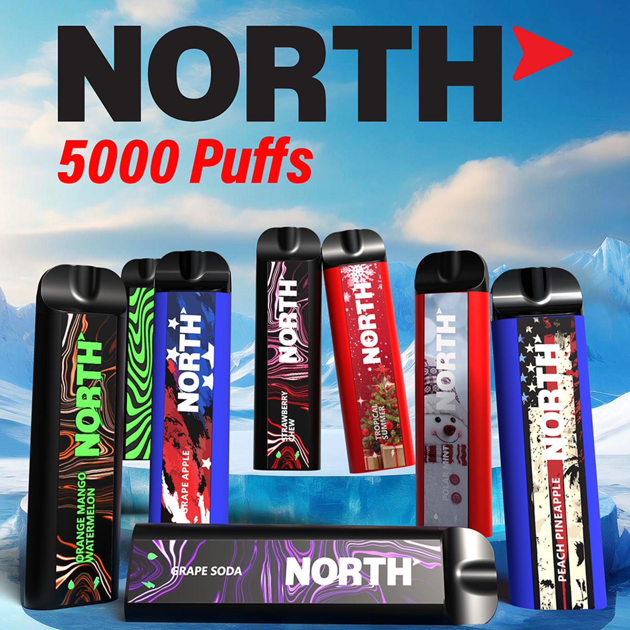 NORTH NIC 5% RECHARGEABLE DISPOSABLE 10ML 5000 PUFFS