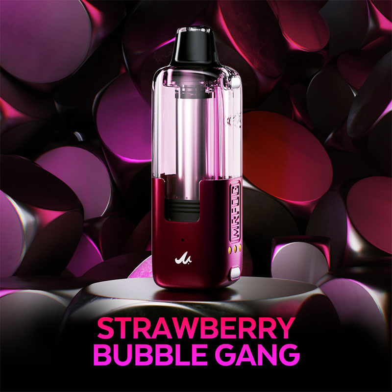 MR FOG SWITCH 45,000 PUFFS (ONLY POD) DISPOSABLE VAPE - DISPLAY OF 5