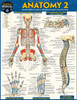 QuickStudy | Anatomy 2 Laminated Study Guide