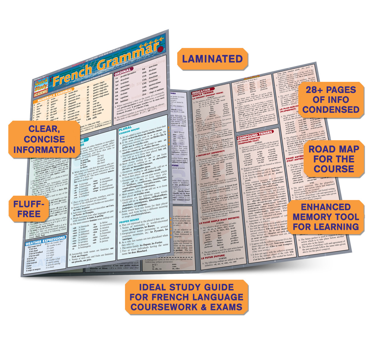 German Grammar: Quickstudy Laminated Reference Guide (Other)