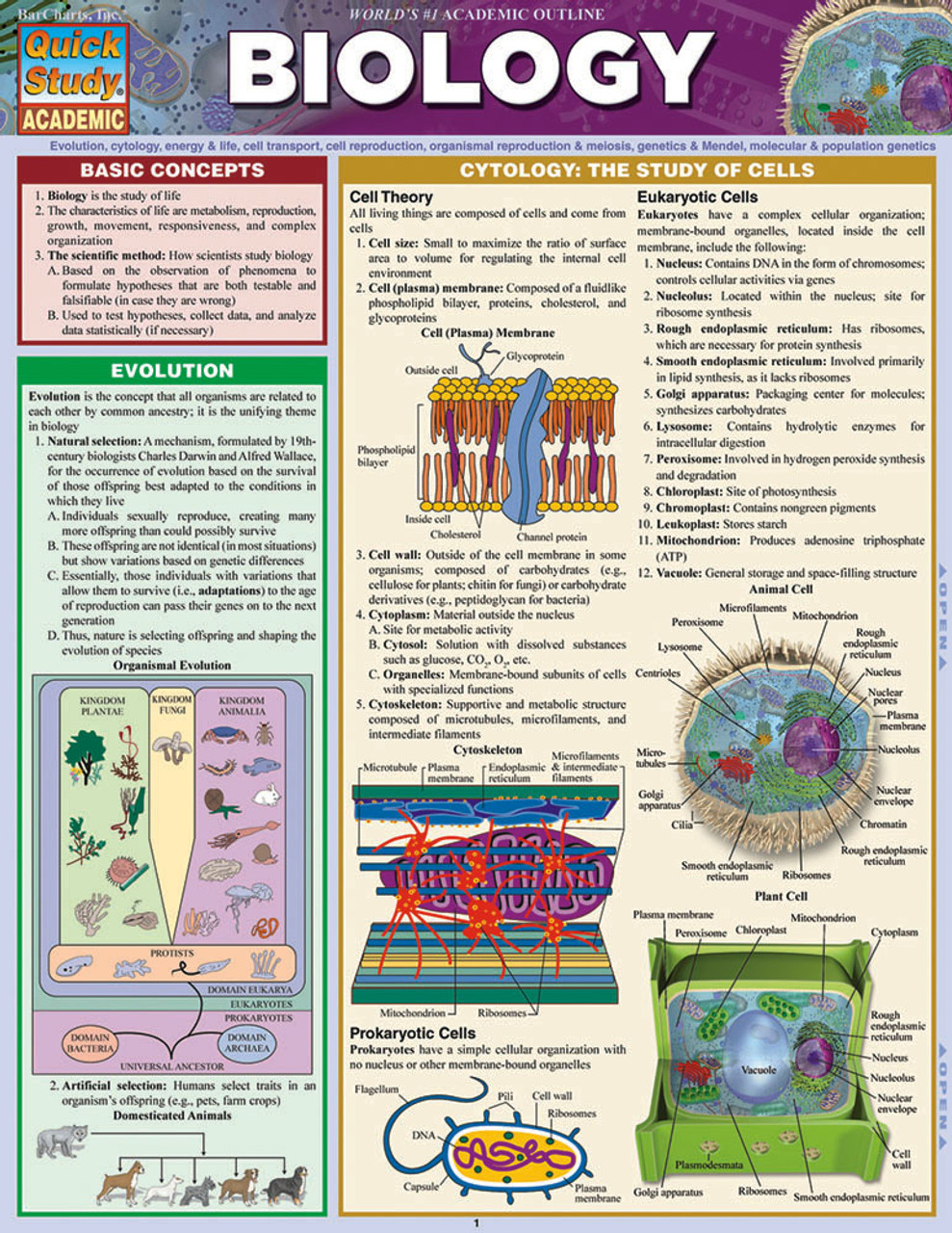 QuickStudy | Biology Laminated Study Guide