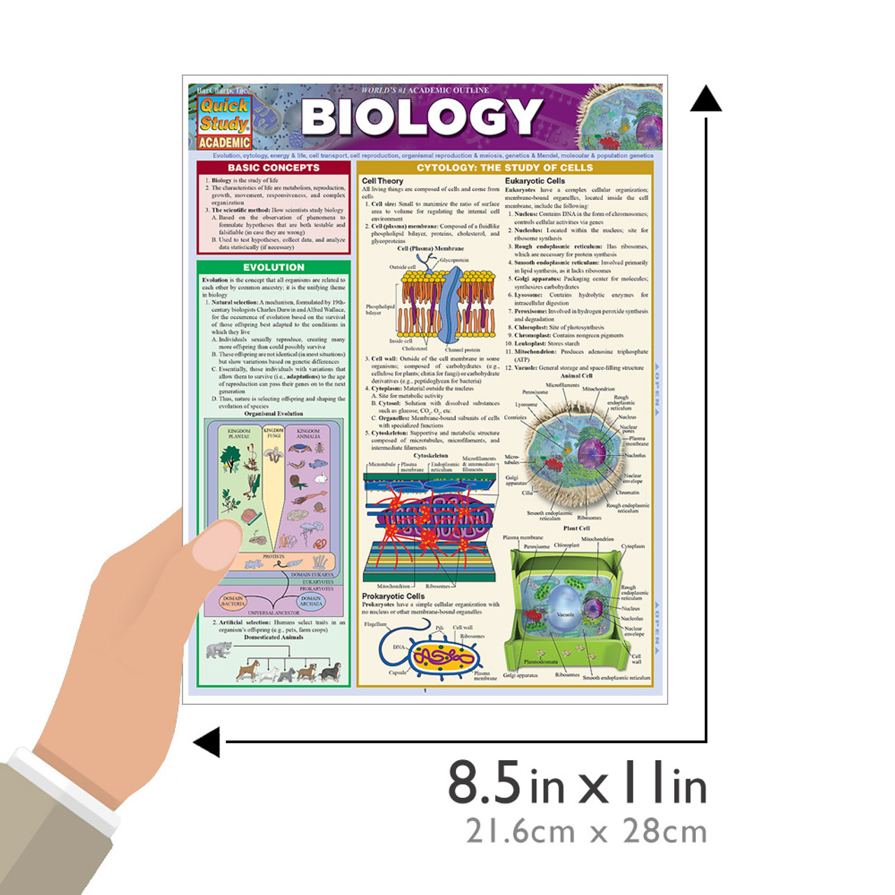 QuickStudy | Biology Laminated Study Guide