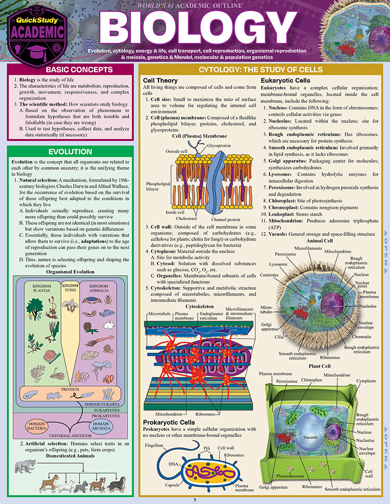 QuickStudy Biology Laminated Study Guide (9781423219538)