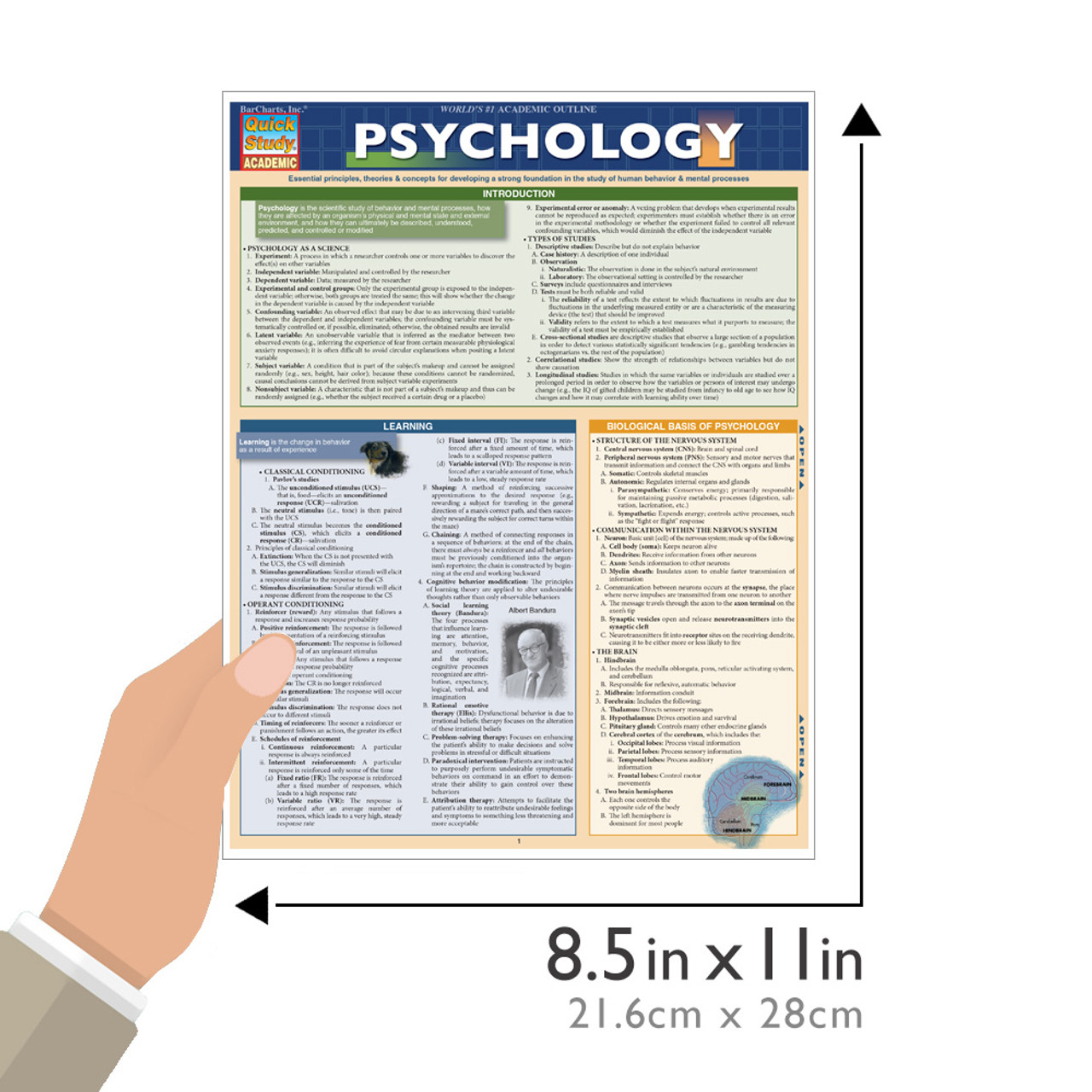 QuickStudy | Psychology Laminated Study Guide