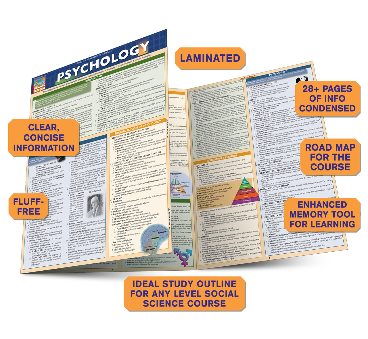 QuickStudy  Psychology Laminated Study Guide (9781423219620)