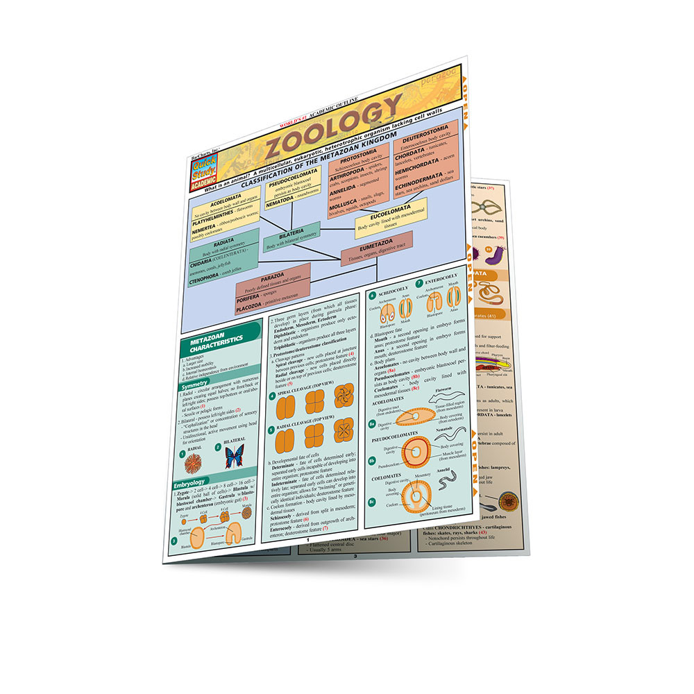 QuickStudy Zoology Laminated Study Guide (9781572225497)