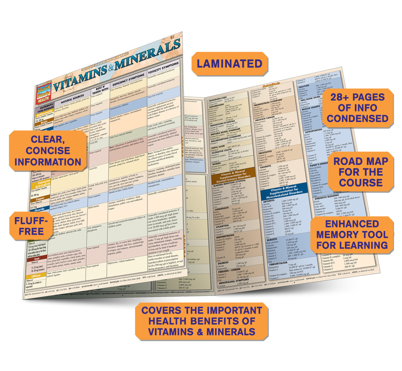 vitamins chart pdf