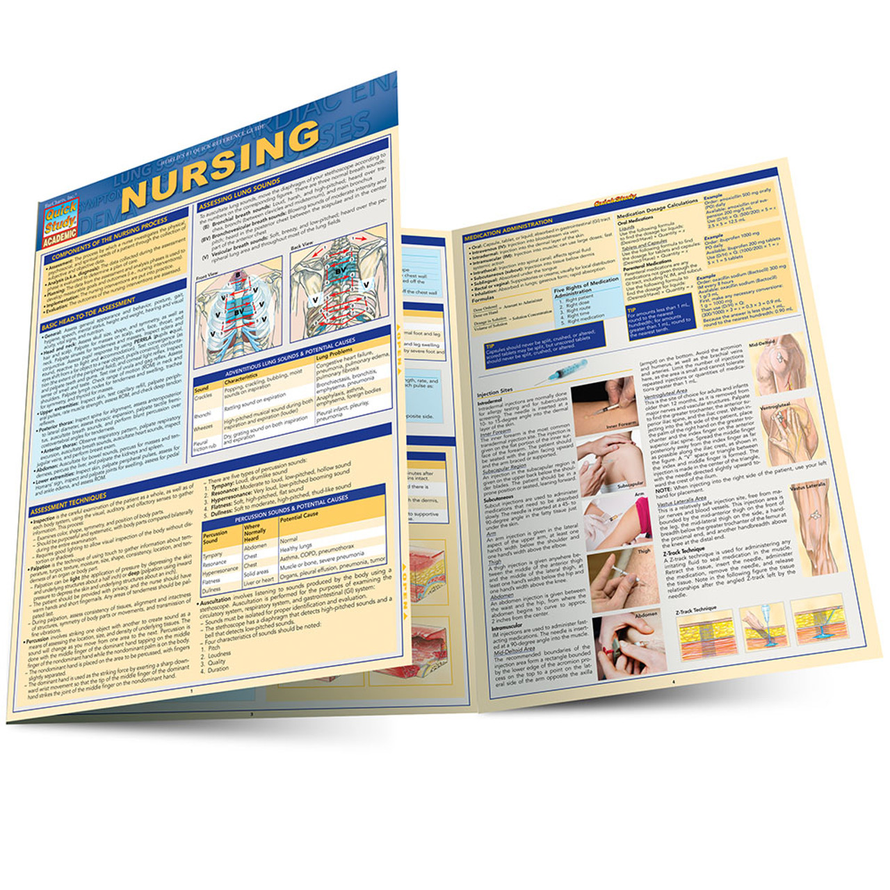 QuickStudy Nursing Laminated Study Guide (9781423221616)