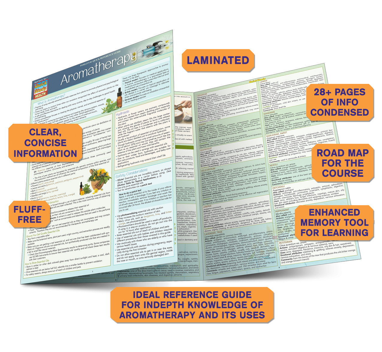 QuickStudy Aromatherapy Laminated Reference Guide (9781423228165)
