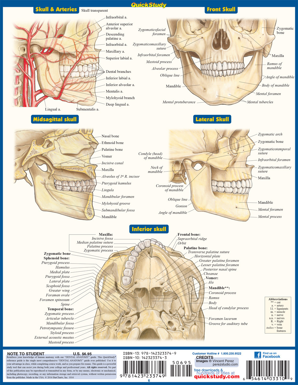 QuickStudy Dental Anatomy Laminated Study Guide (9781423233107)