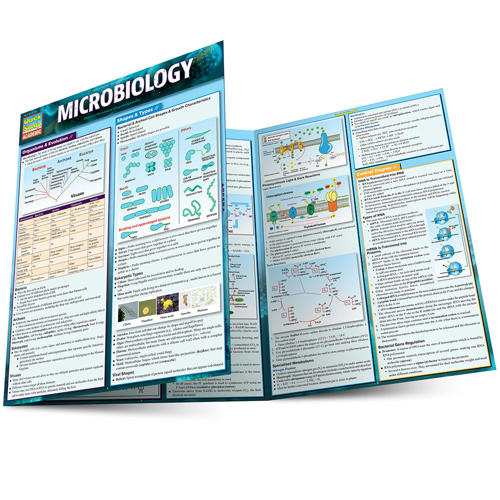 QuickStudy Microbiology Laminated Study Guide (9781423233190)
