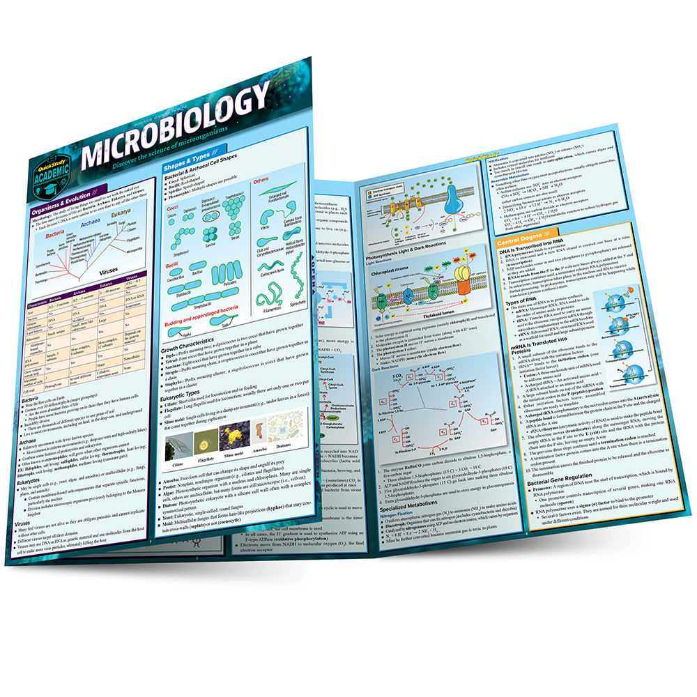 QuickStudy Microbiology Laminated Study Guide (9781423233190)