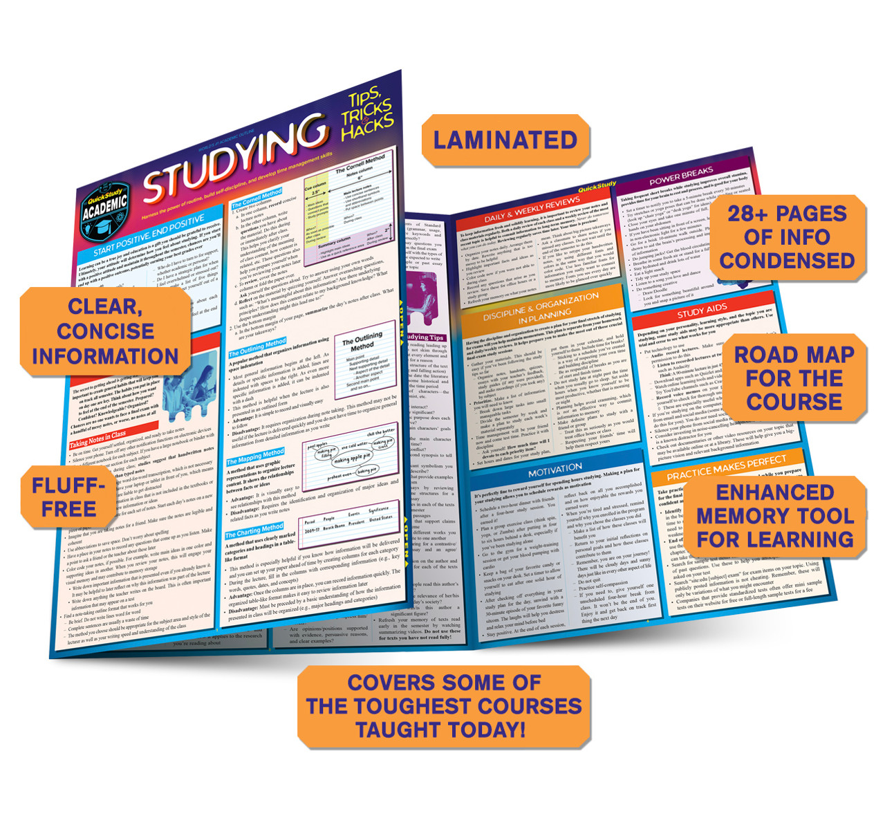 Studying Tips, Tricks & Hacks: Quickstudy Laminated Reference Guide to  Grade Boosting Techniques (Quickstudy Academic)