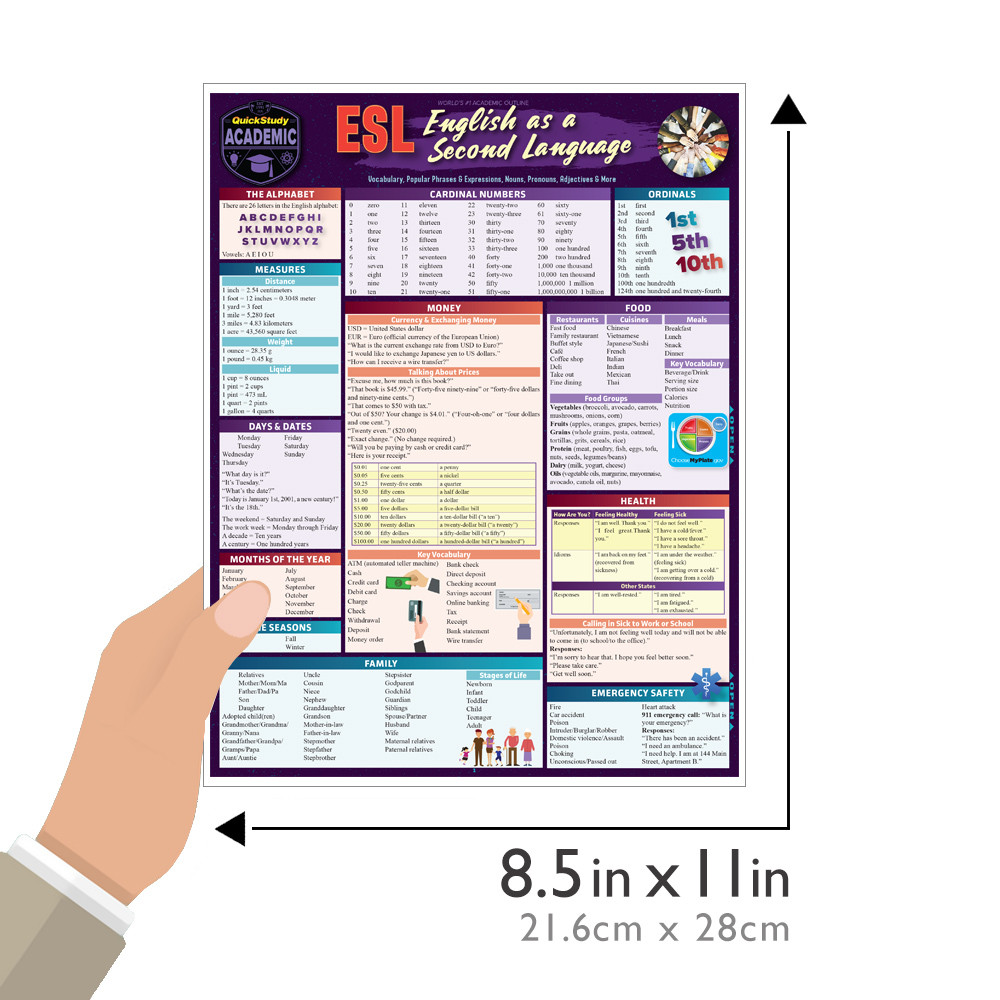 QuickStudy ESL (English as a Second Language) Laminated Study
