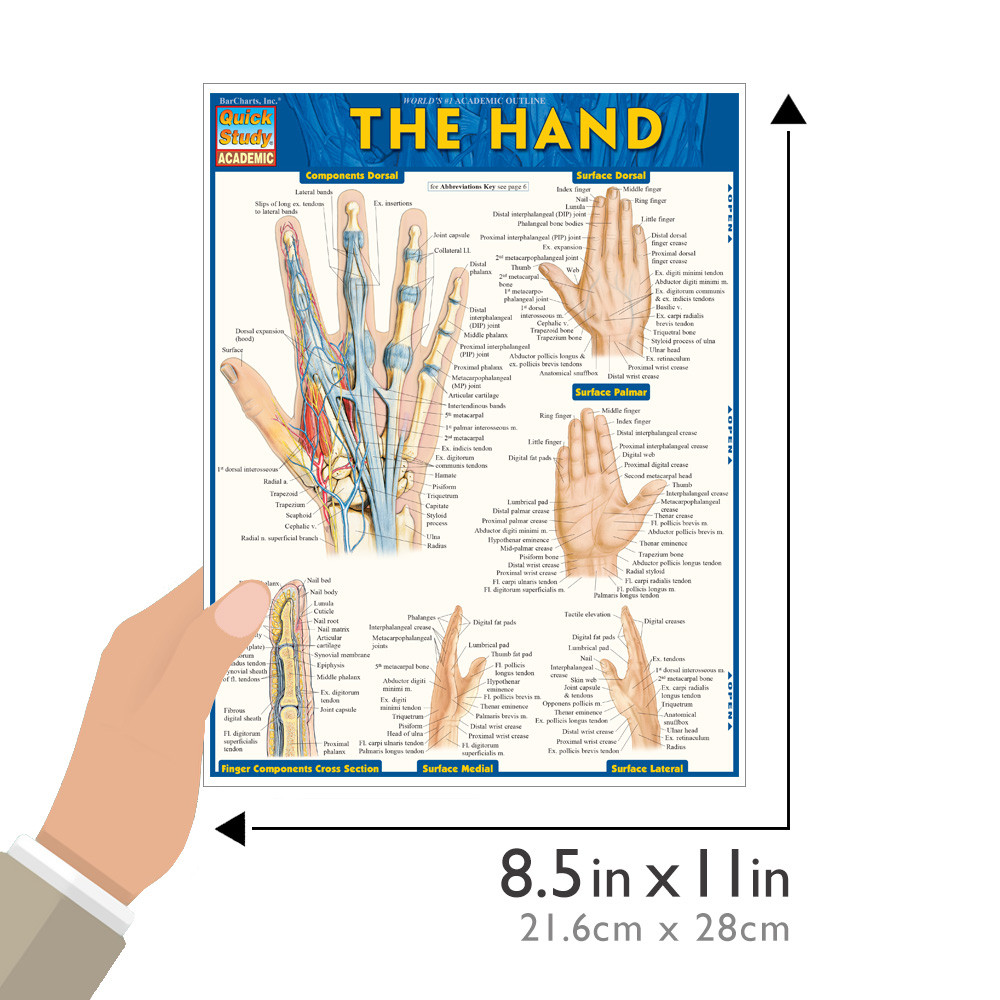 QuickStudy The Hand Laminated Study Guide (9781423220220)