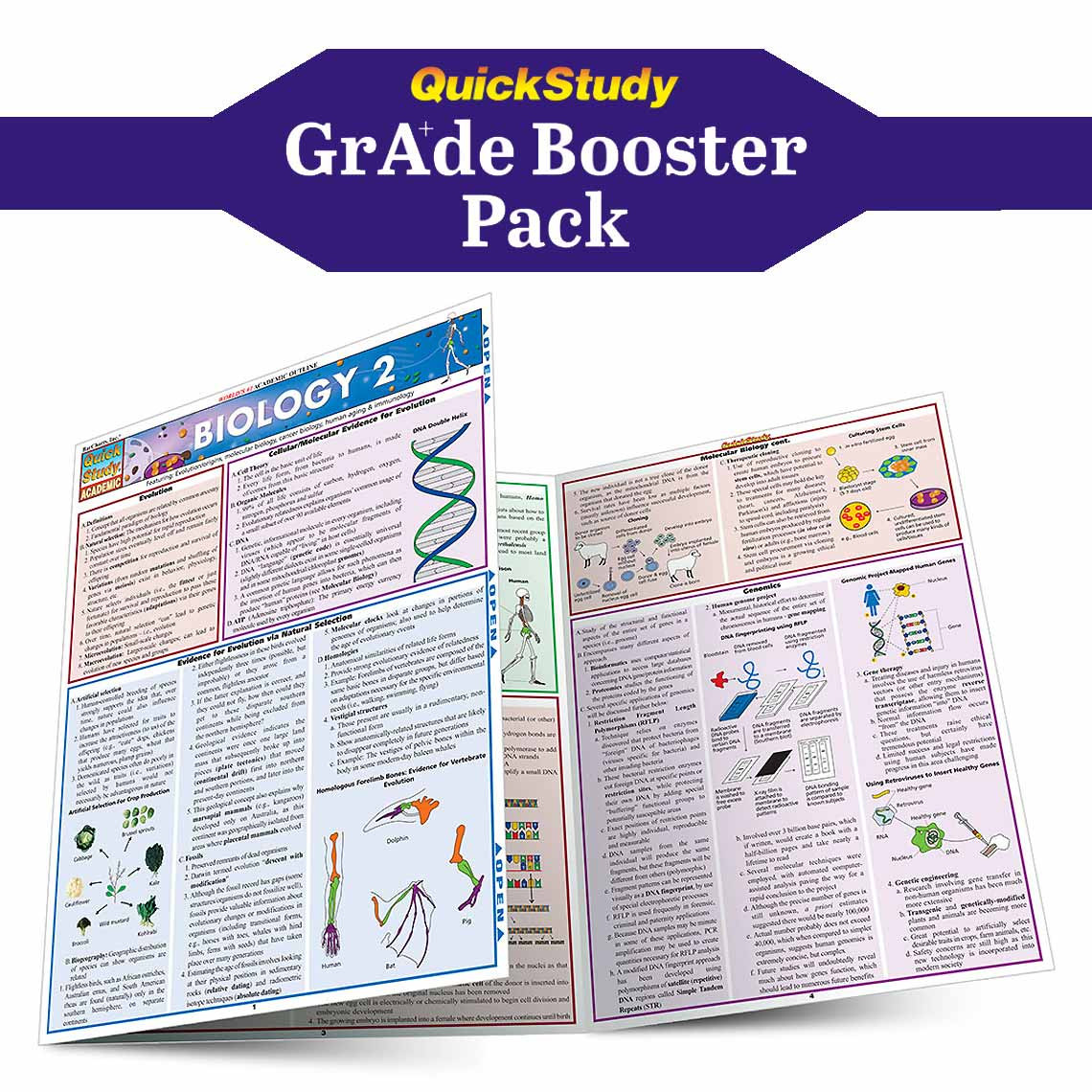 QuickStudy Biology Grade Booster Pack ( 9781423244073)