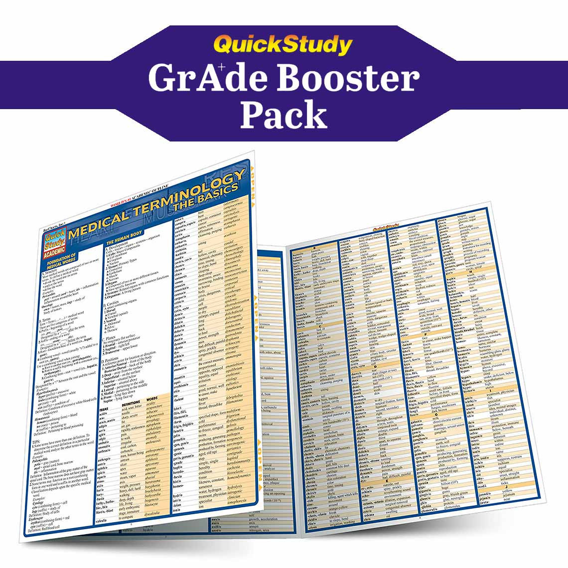 QuickStudy Nursing Grade Booster Pack (9781423236146)