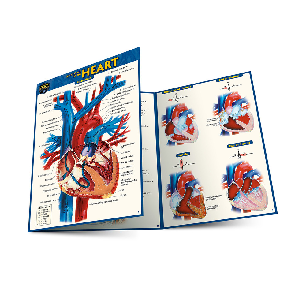 QuickStudy Anatomy of The Heart Laminated Pocket Guide (9781423242703)