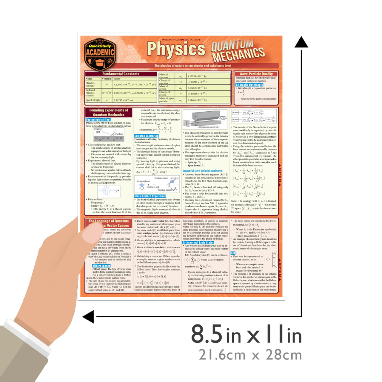 Momentum study quide