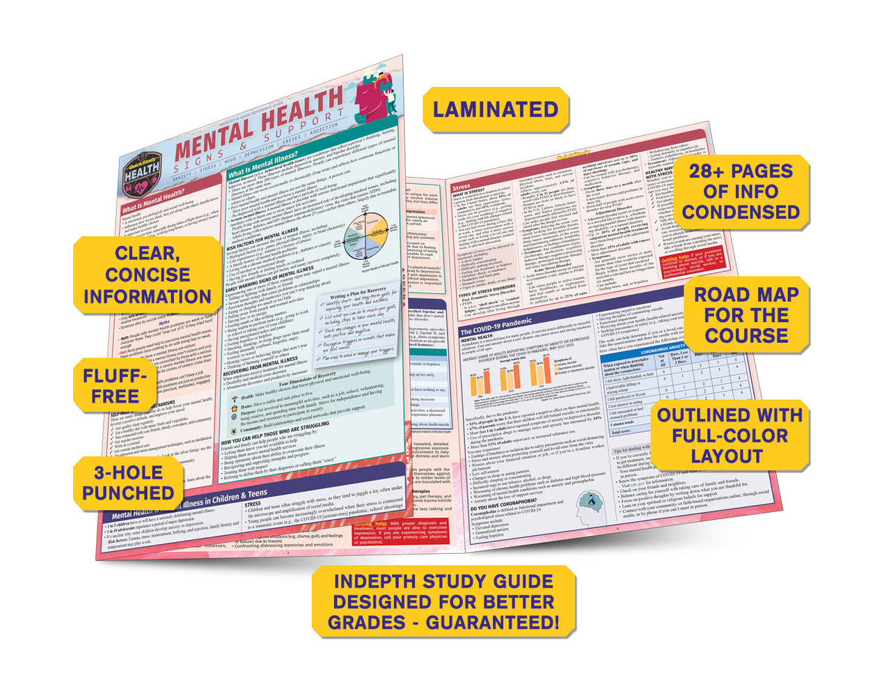 QuickStudy | Mental Health Signs & Support Laminated Reference QuickStudy | Mental Health Signs & Support Laminated Reference