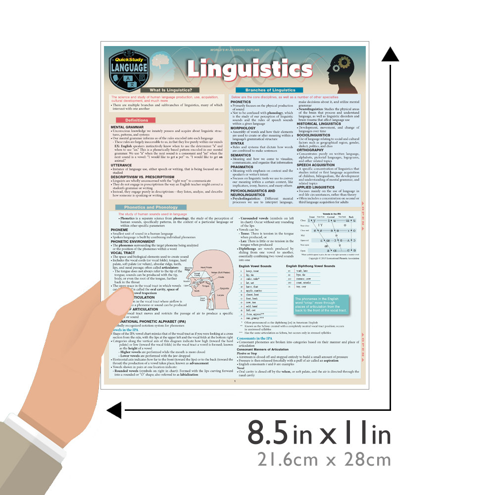 QuickStudy | Linguistics Laminated Study Guide (9781423248101)