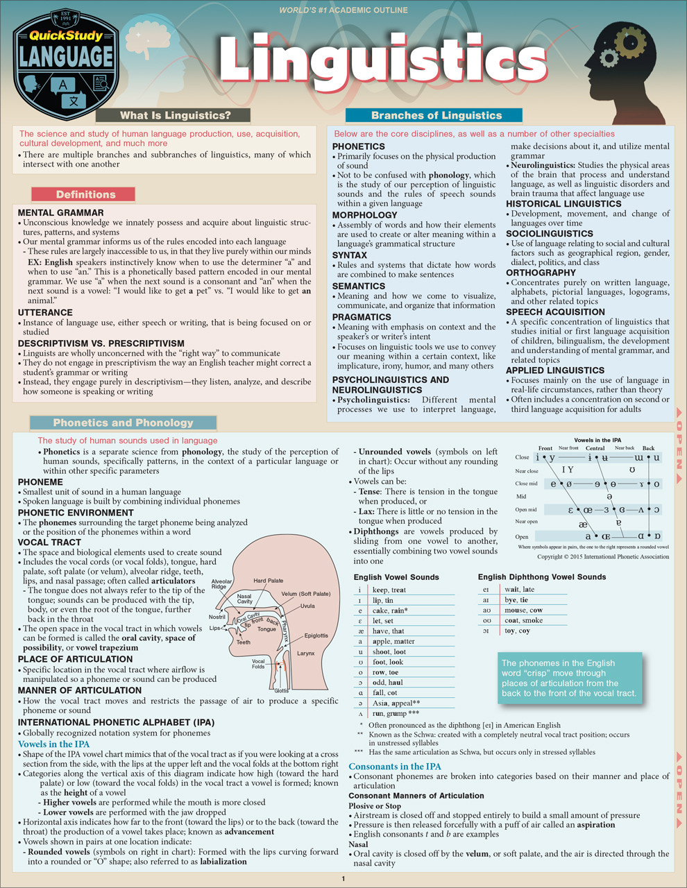 QuickStudy | Linguistics Laminated Study Guide (9781423248101)