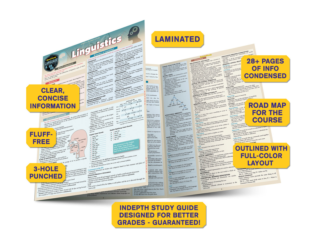 QuickStudy | Linguistics Laminated Study Guide (9781423248101)