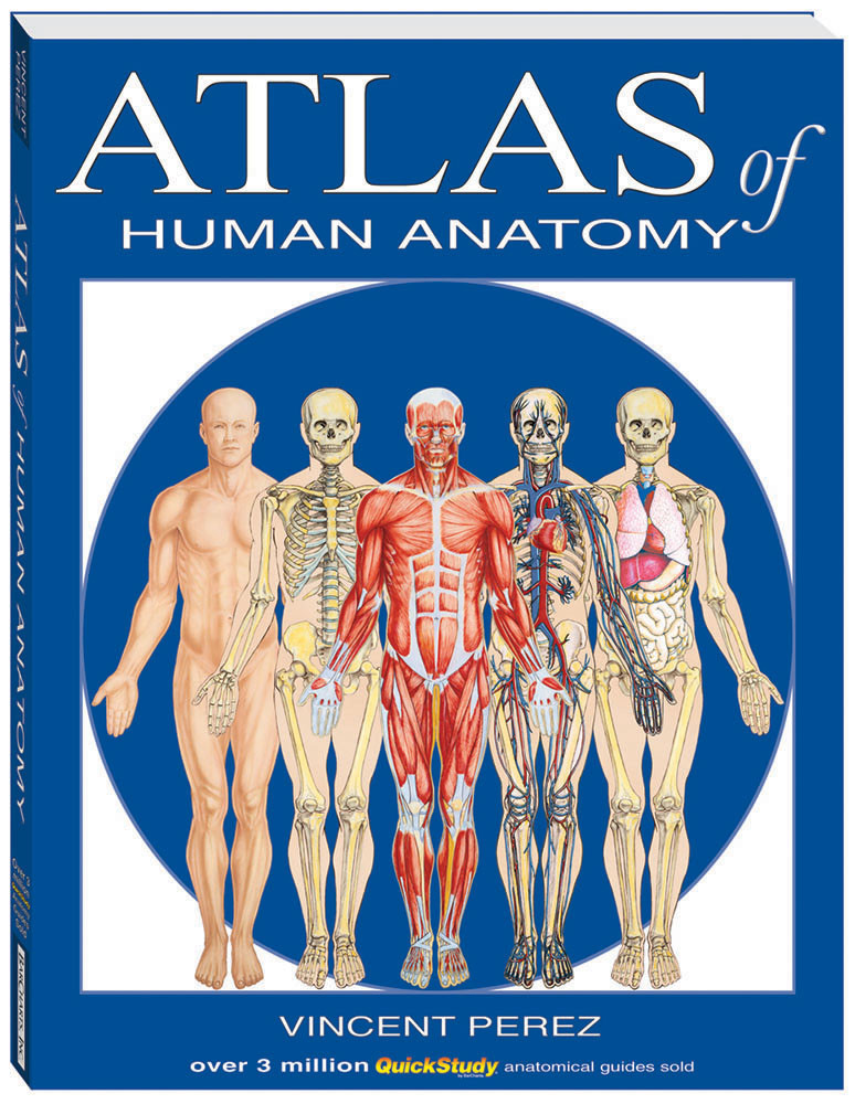 QuickStudy Atlas of Human Anatomy Book (9781423201724)