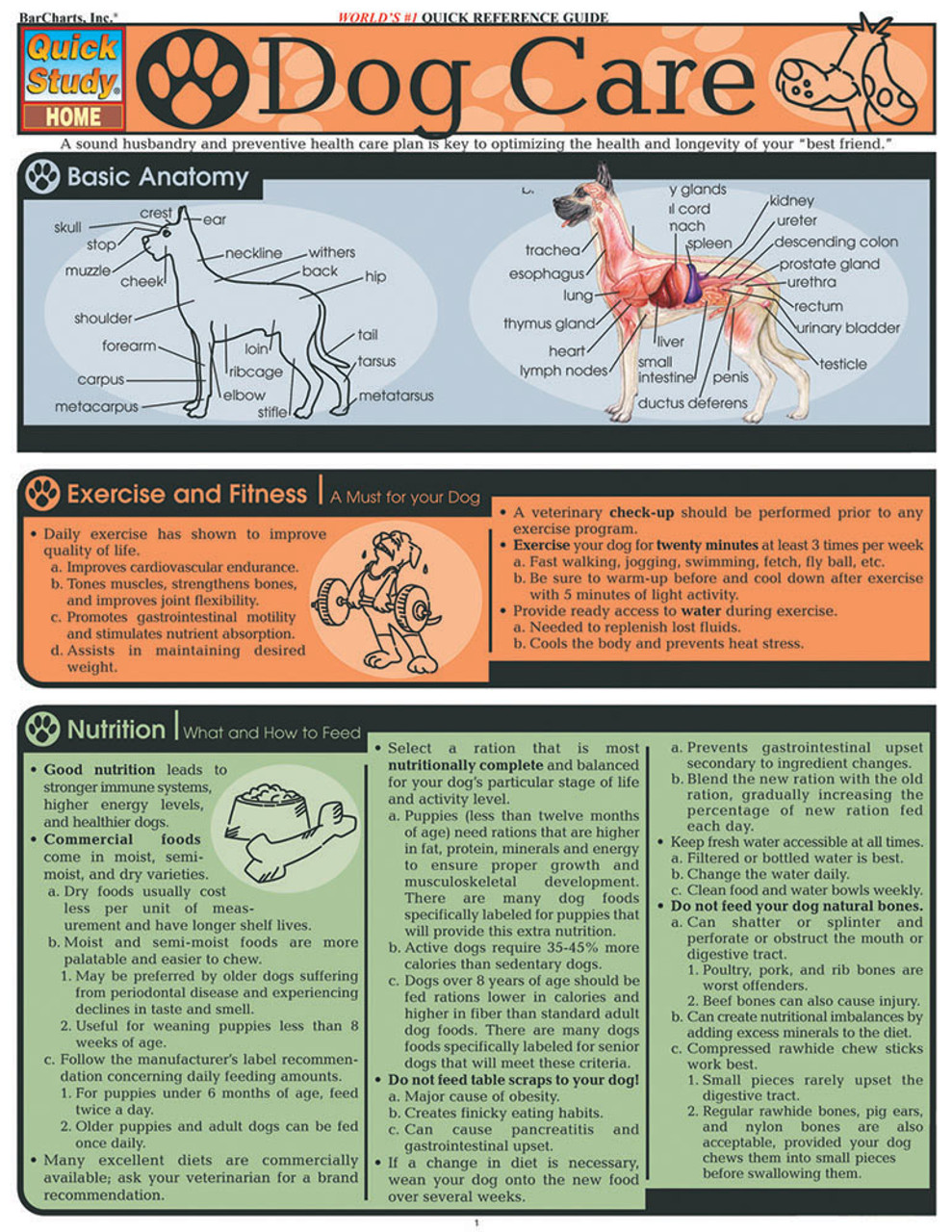 The Dog Exercise Guide