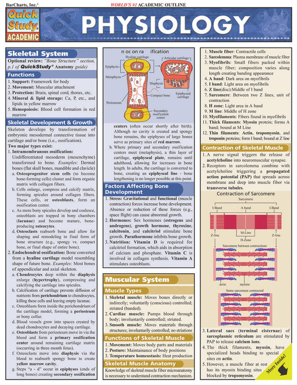 QuickStudy | Physiology Laminated Study Guide (9781572227910)