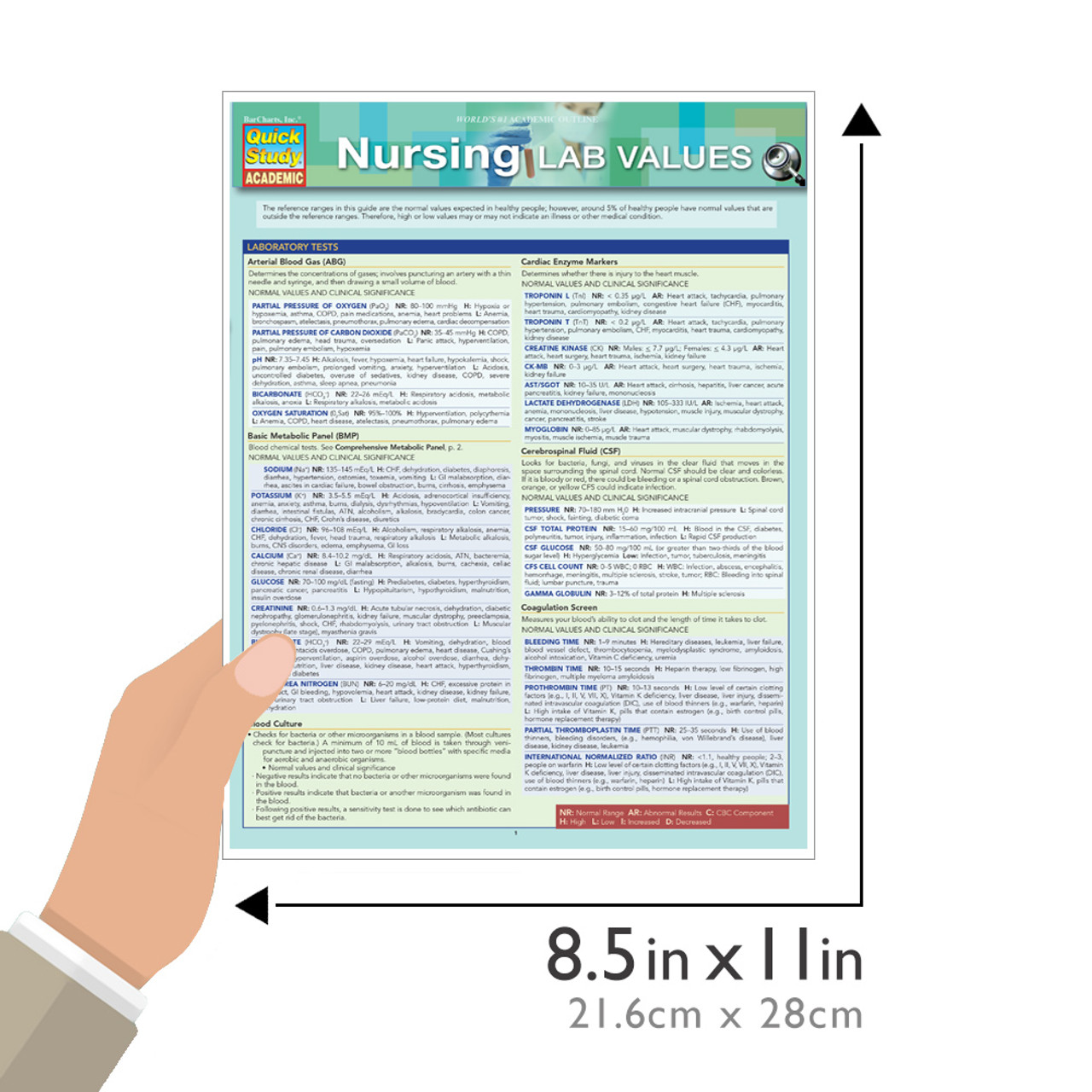 Nursing Teas 7: A Quickstudy Laminated Reference Guide (Other)