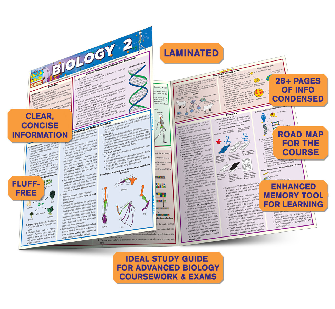 QuickStudy | Biology 2 Laminated Study Guide