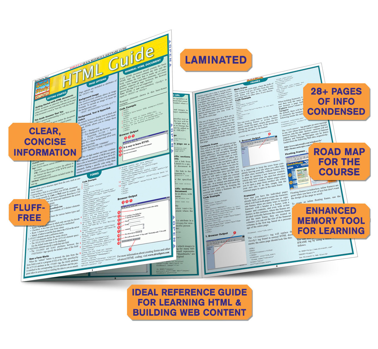 QuickStudy Laminated Reference Guides