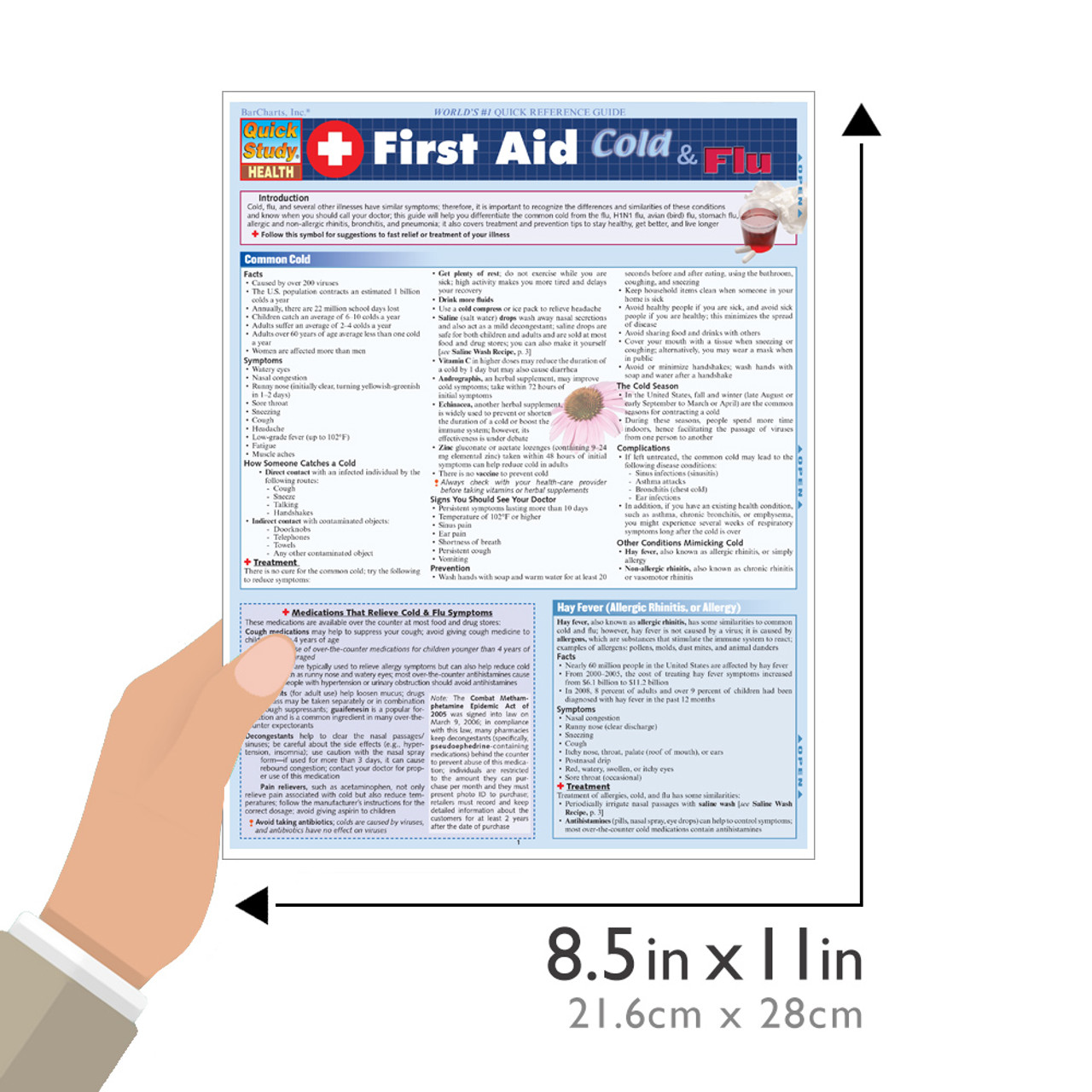 QuickStudy, First Aid Laminated Reference Guide