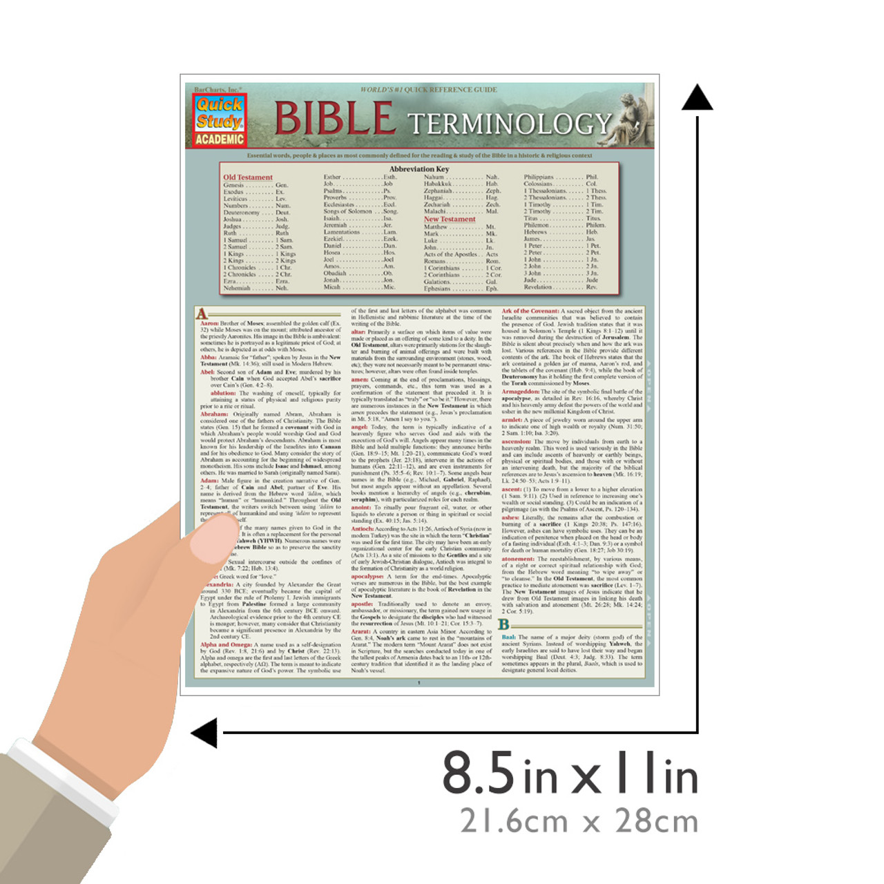 New Testament Laminated Quick Study Guide by BarCharts
