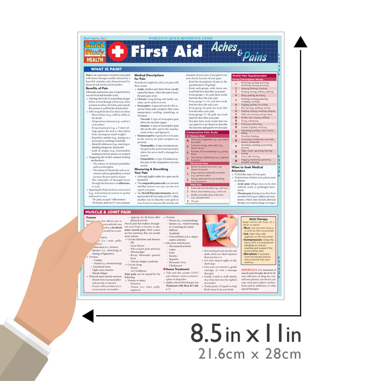 Paramedic: A Quickstudy Laminated Reference Guide: 9781423244219