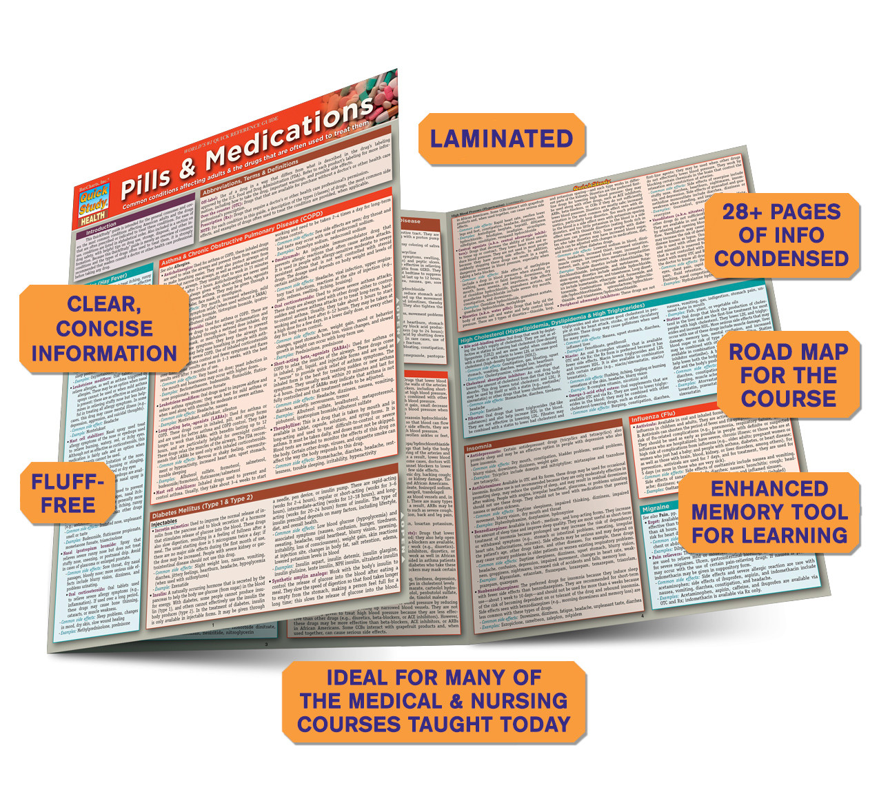 QuickStudy | Pills & Medication Laminated Study Guide (9781423218753)