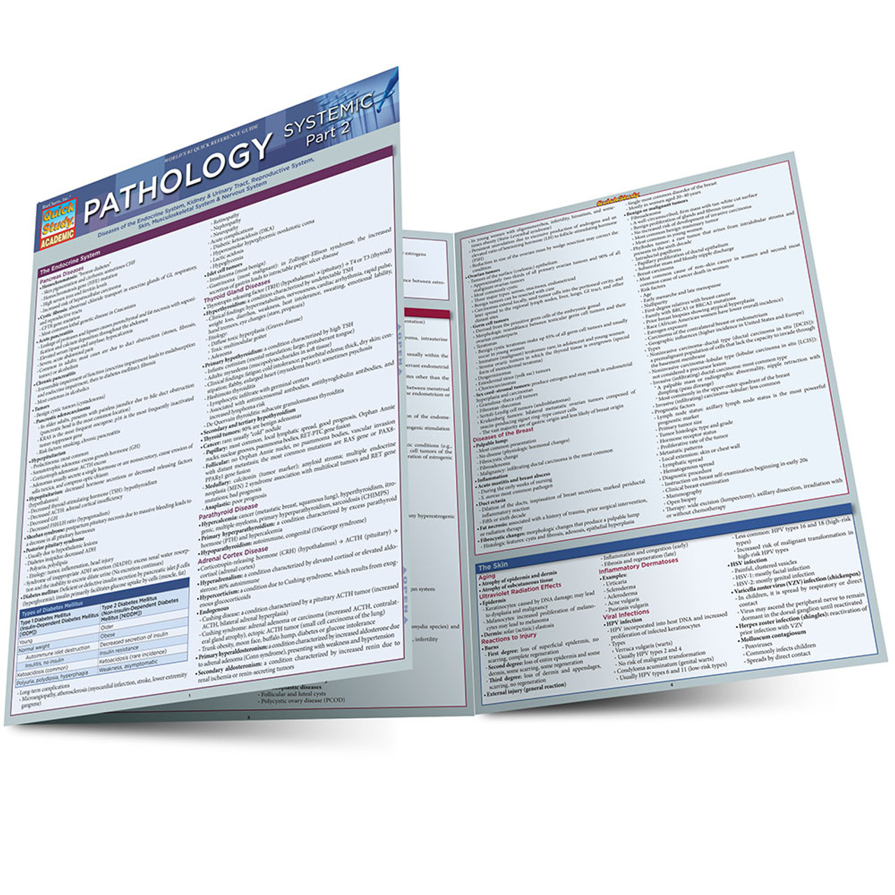 PHYSIOLOGY Quick Study Academic 生理学 Physiology QuickStudy Laminated Reference Guide (QuickStudy