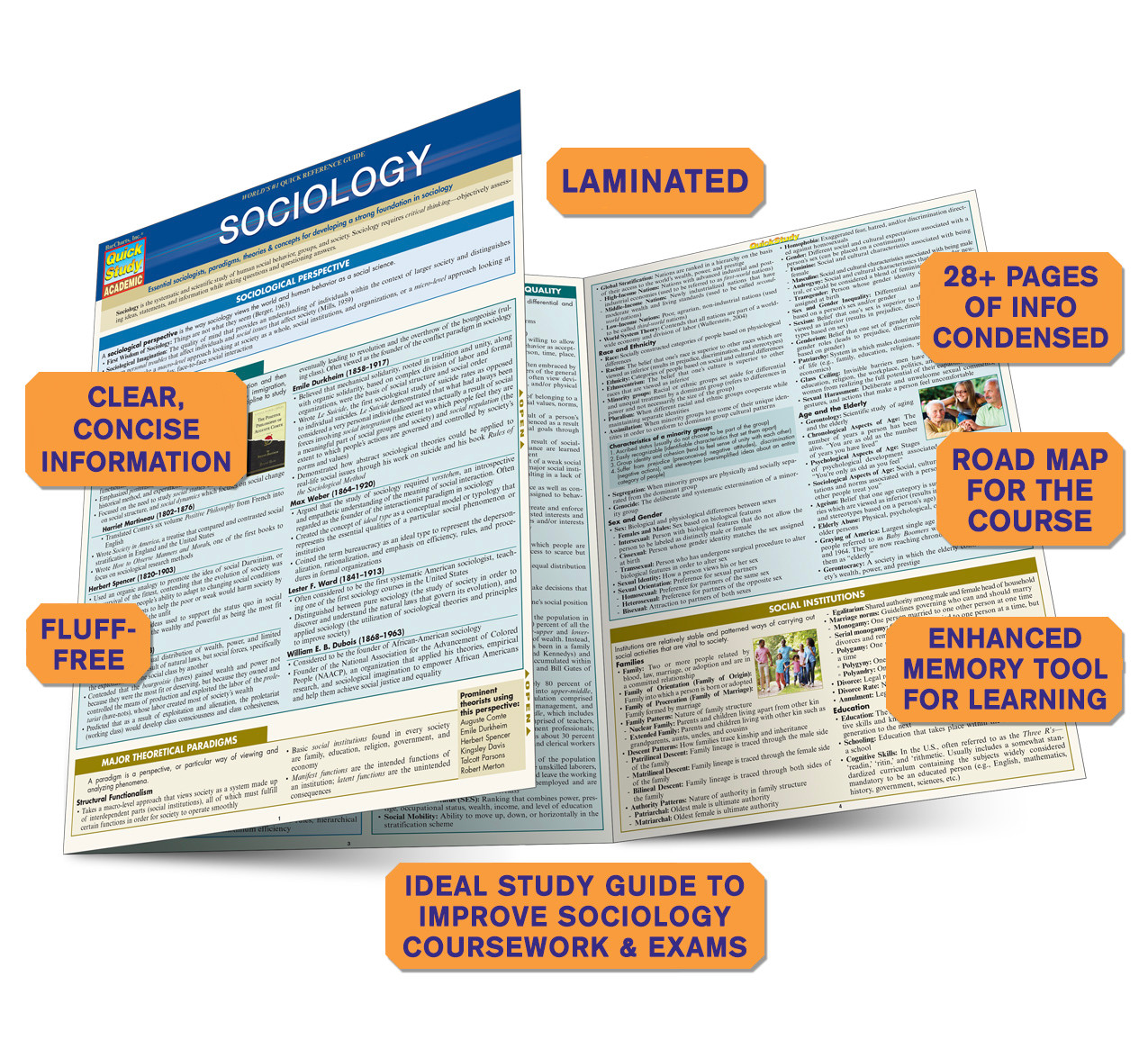 QuickStudy Sociology Laminated Study Guide (9781423224358)