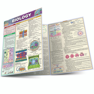 QuickStudy Molecular Biology Laminated Study Guide