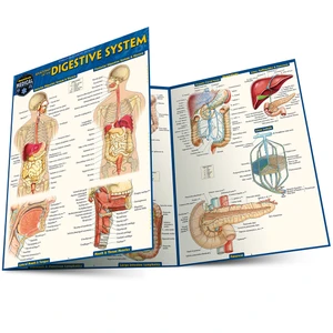 QuickStudy | Anatomy of the Digestive System Laminated Study Guide