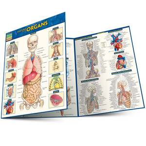 Quick Study QuickStudy Anatomy of the Organs Laminated Study Guide BarCharts Publishing Medical Education Main Image